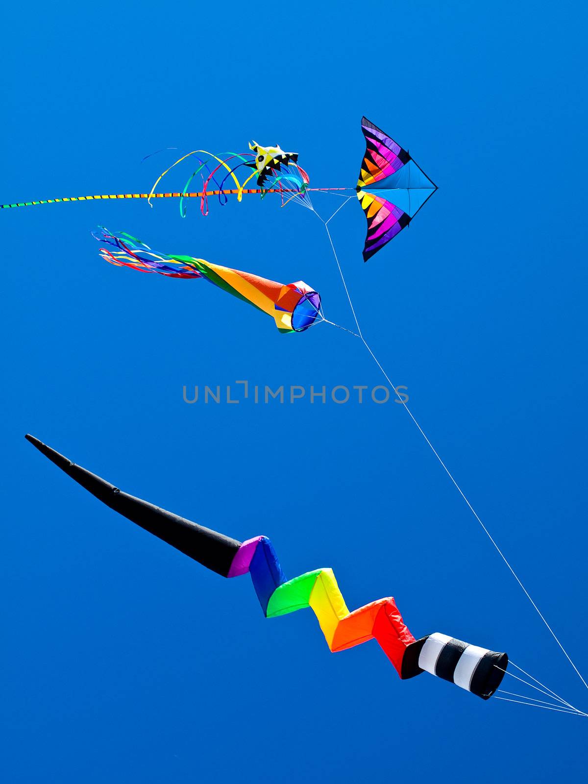 Various Colorful Kites Flying in a Bright Blue Sky