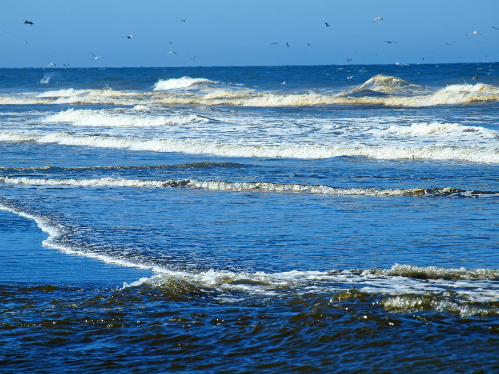 Ocean Waves Breaking on Shore on a Clear, Sunny Day