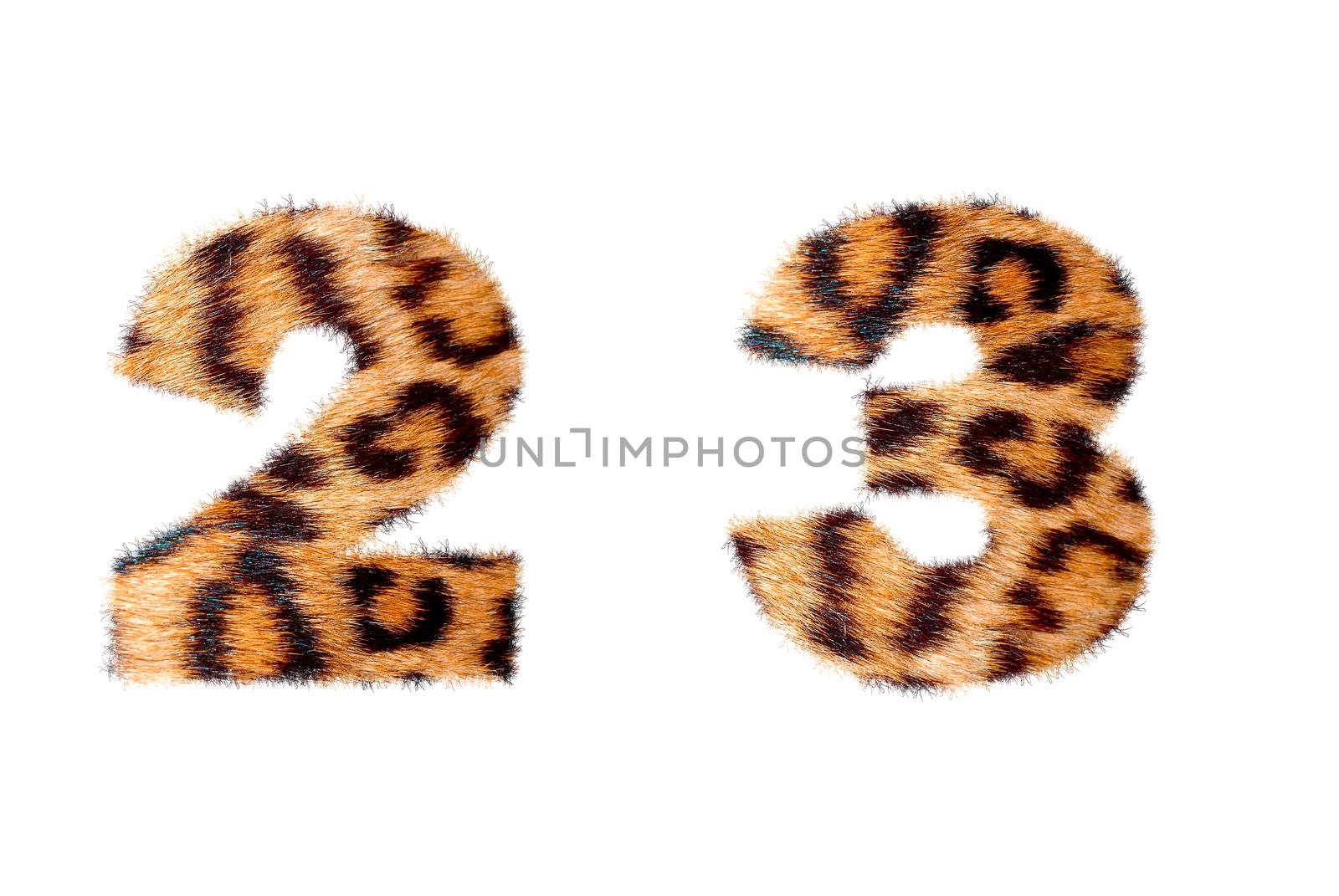 Custom number symbol base on leopard skin, isolated in white