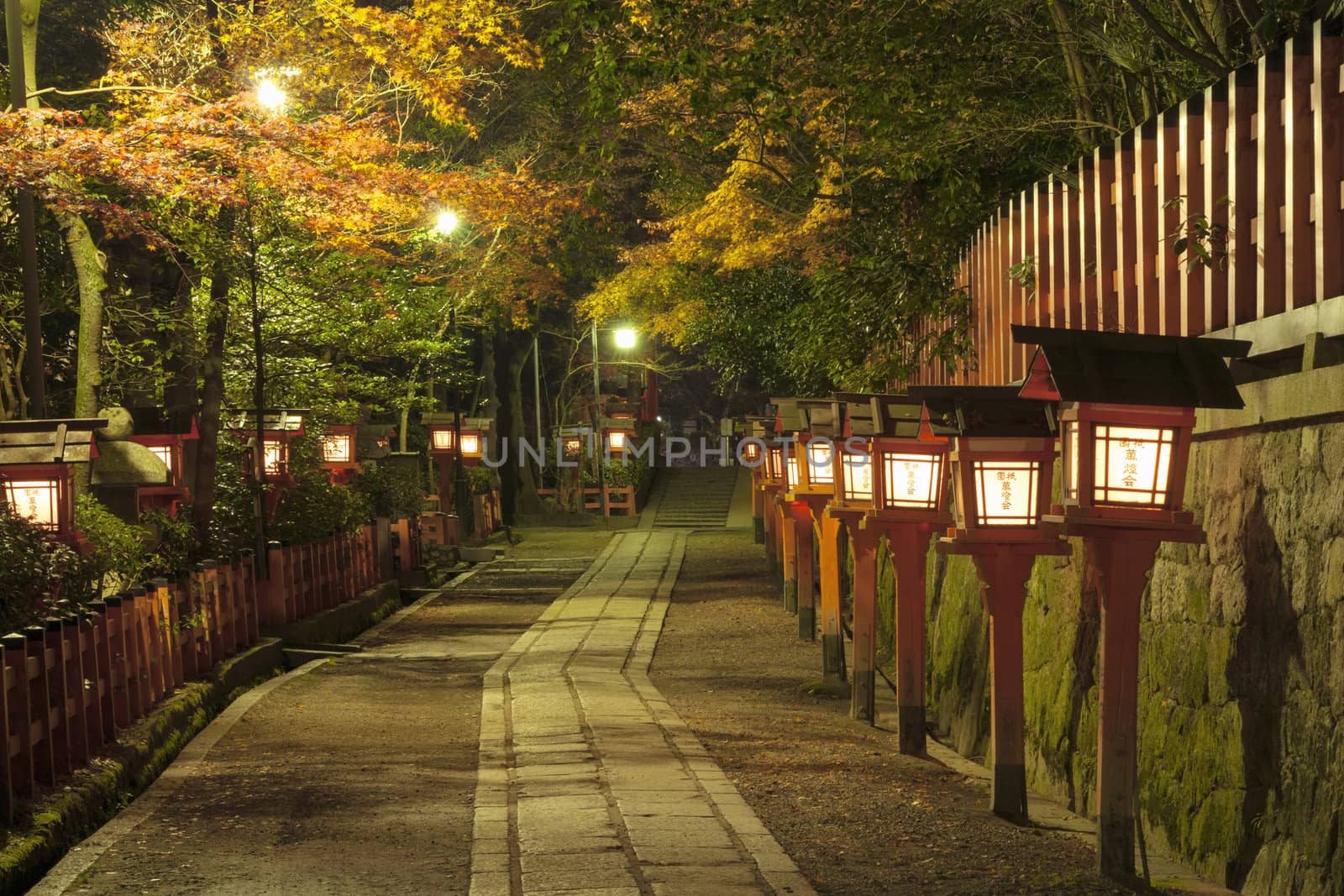 night autumnal alley in Kyoto
