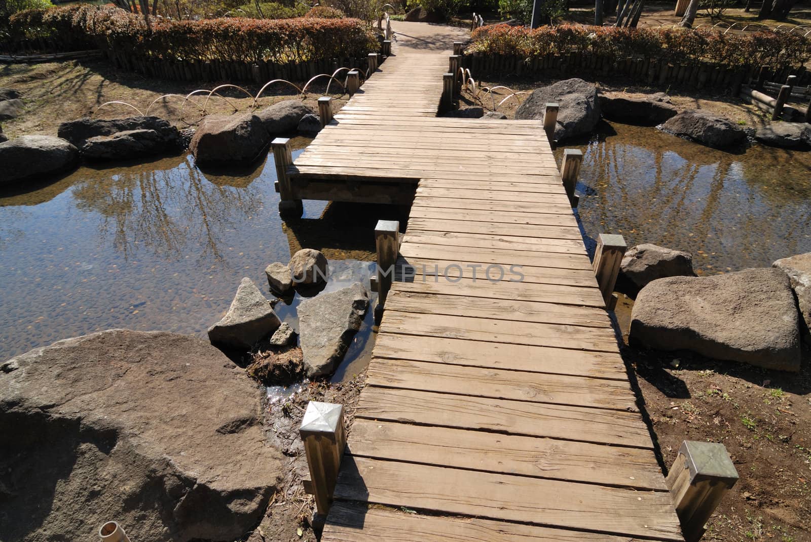 scenic wooden bridge in Japanese garden by bright sunny day