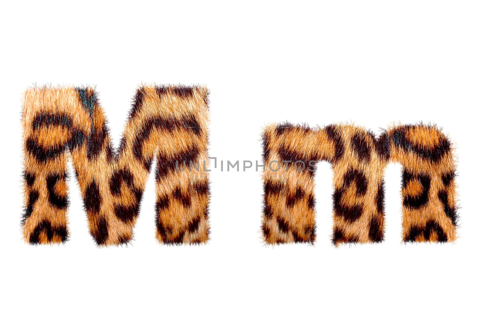 Custom english text base on leopard skin, isolated in white