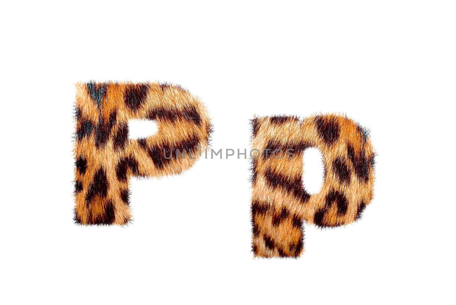 Custom english text base on leopard skin, isolated in white