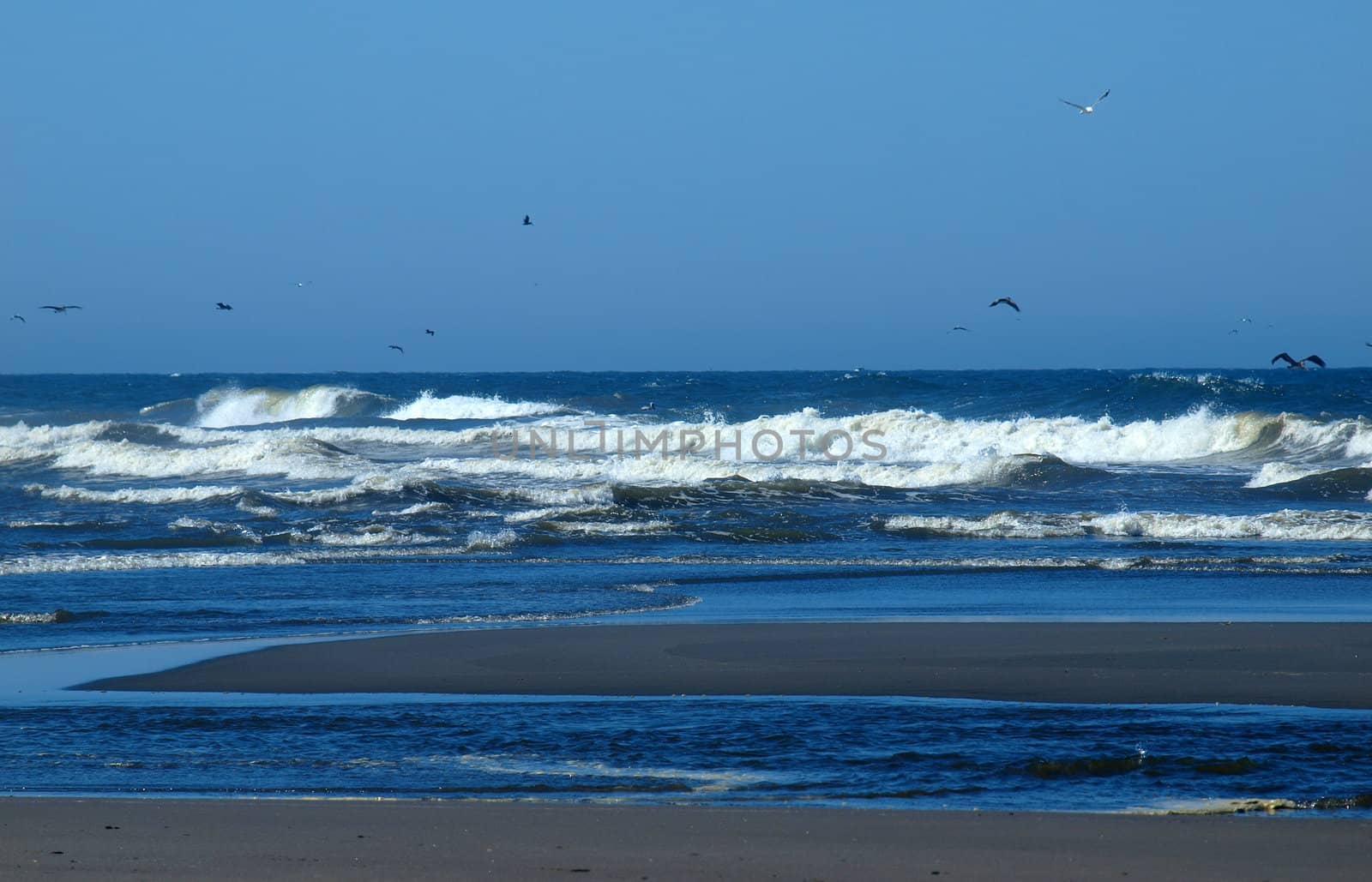 Ocean Waves Breaking on Shore on a Clear, Sunny Day