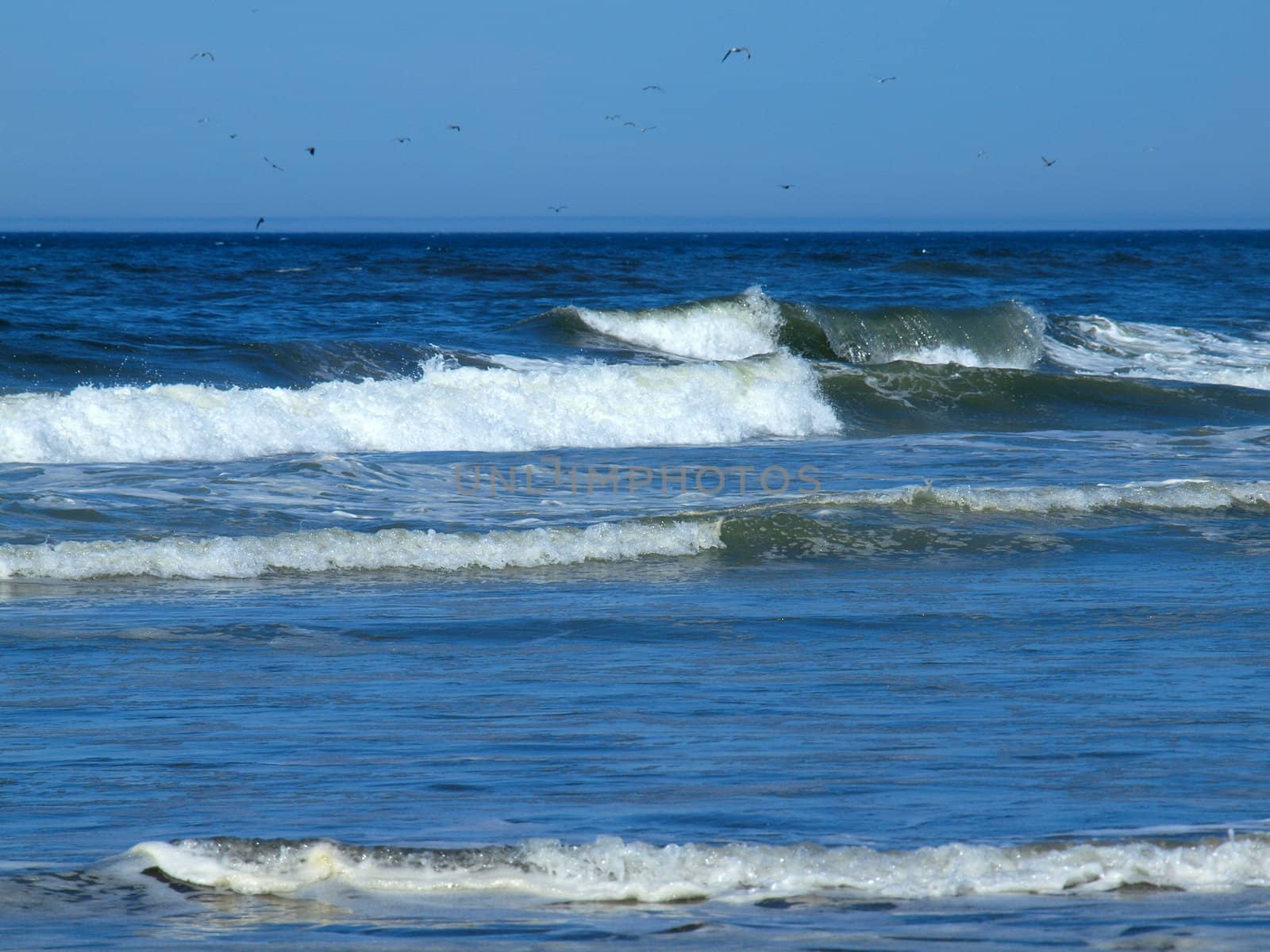 Ocean Waves Breaking on Shore on a Clear, Sunny Day by Frankljunior