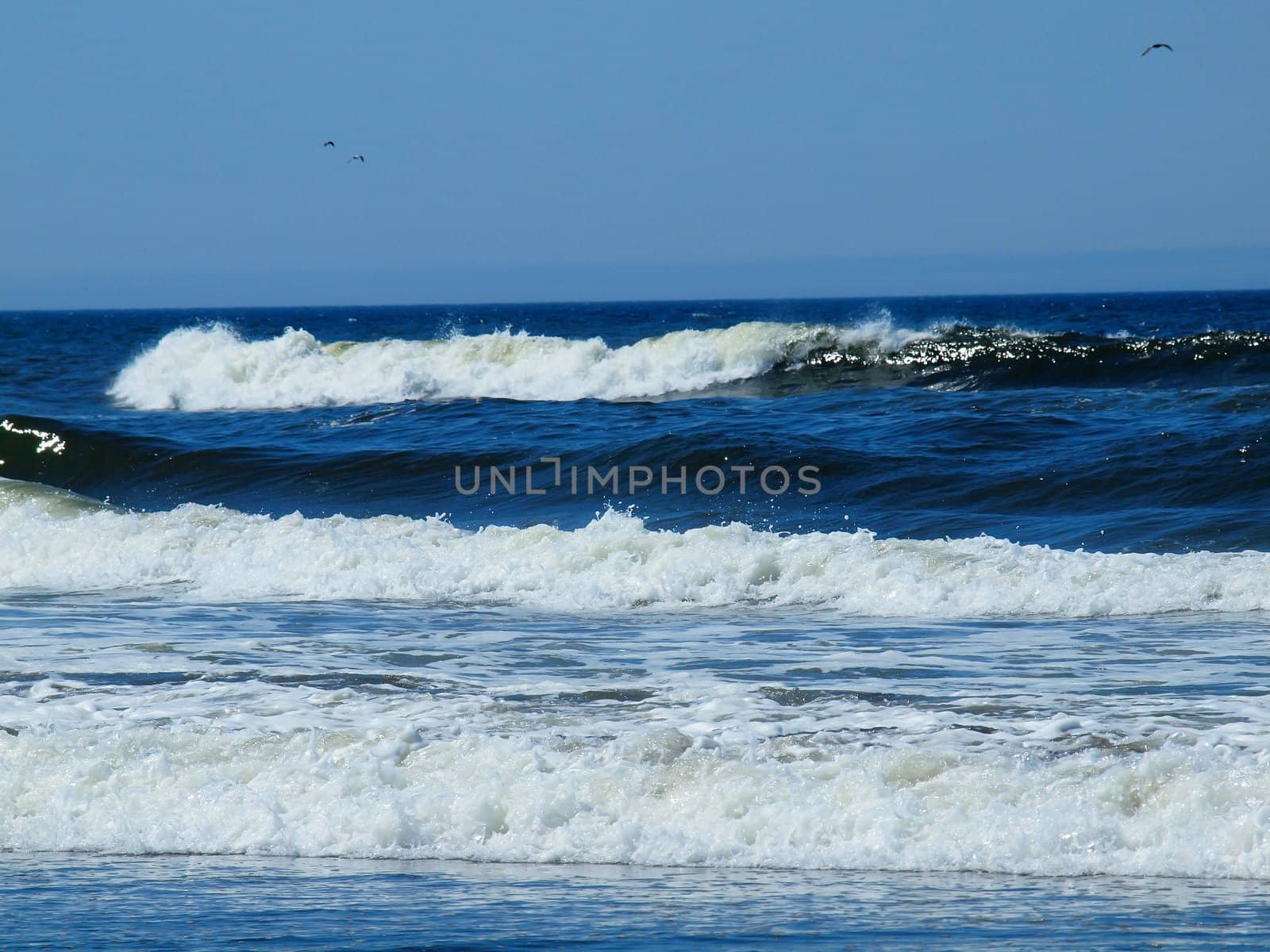 Ocean Waves Breaking on Shore on a Clear, Sunny Day