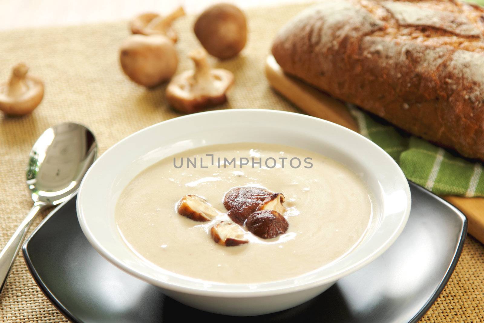 Mushroom soup by vanillaechoes