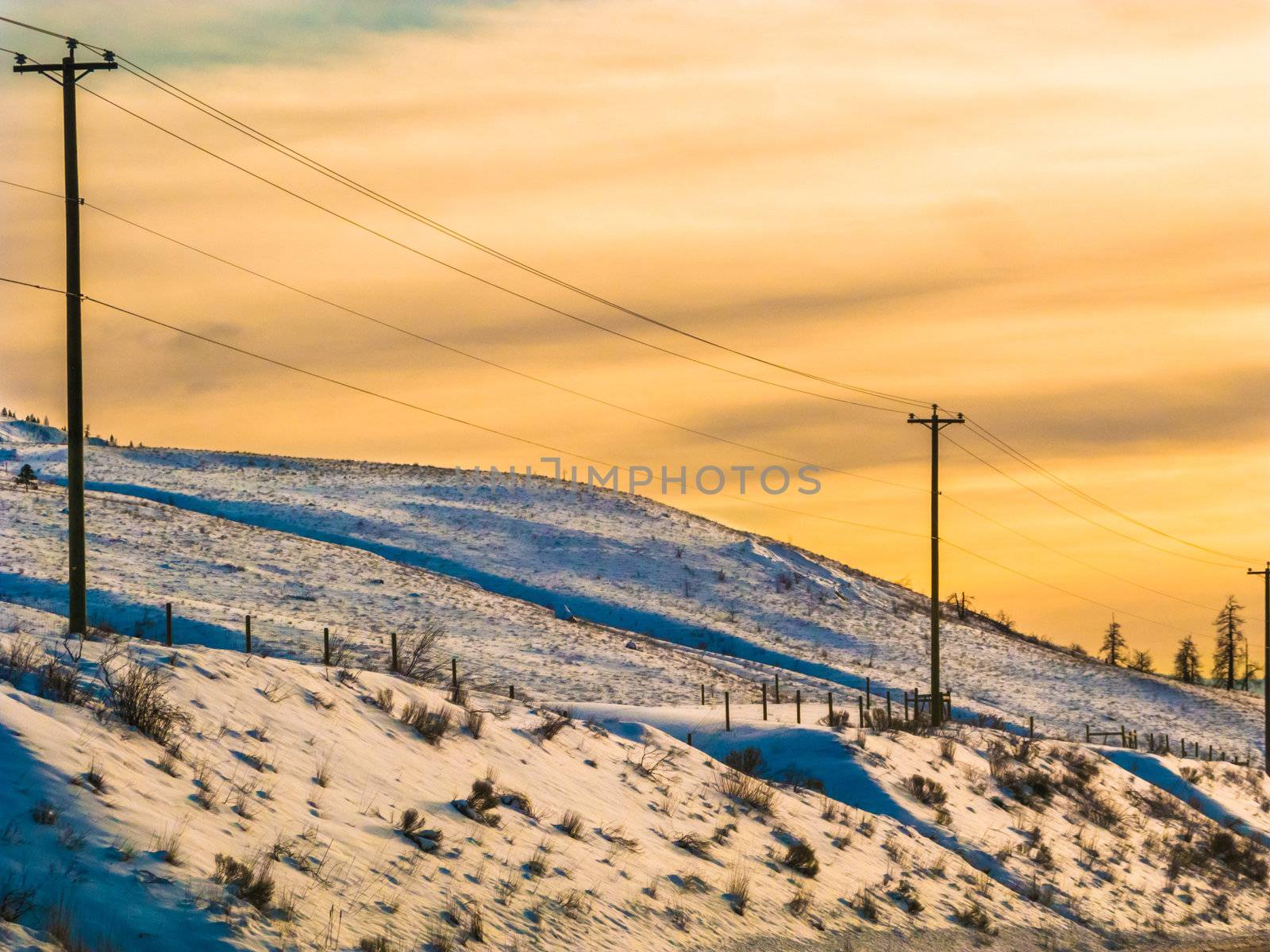 Snowy hillside in Kamloops BC by edan