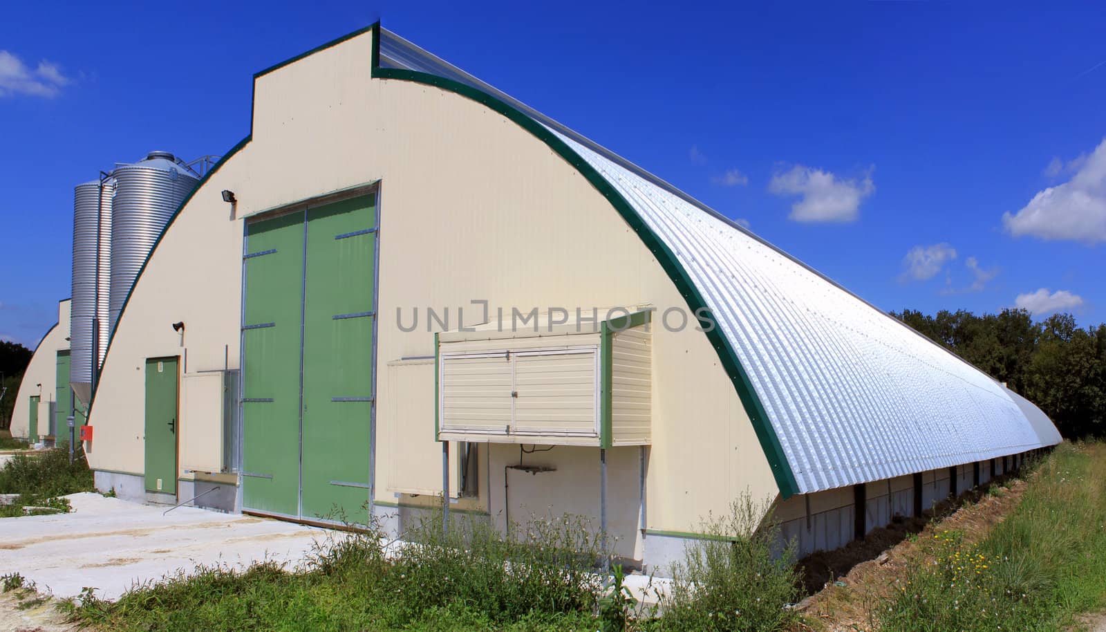 shed and grain elevators for raising chickens