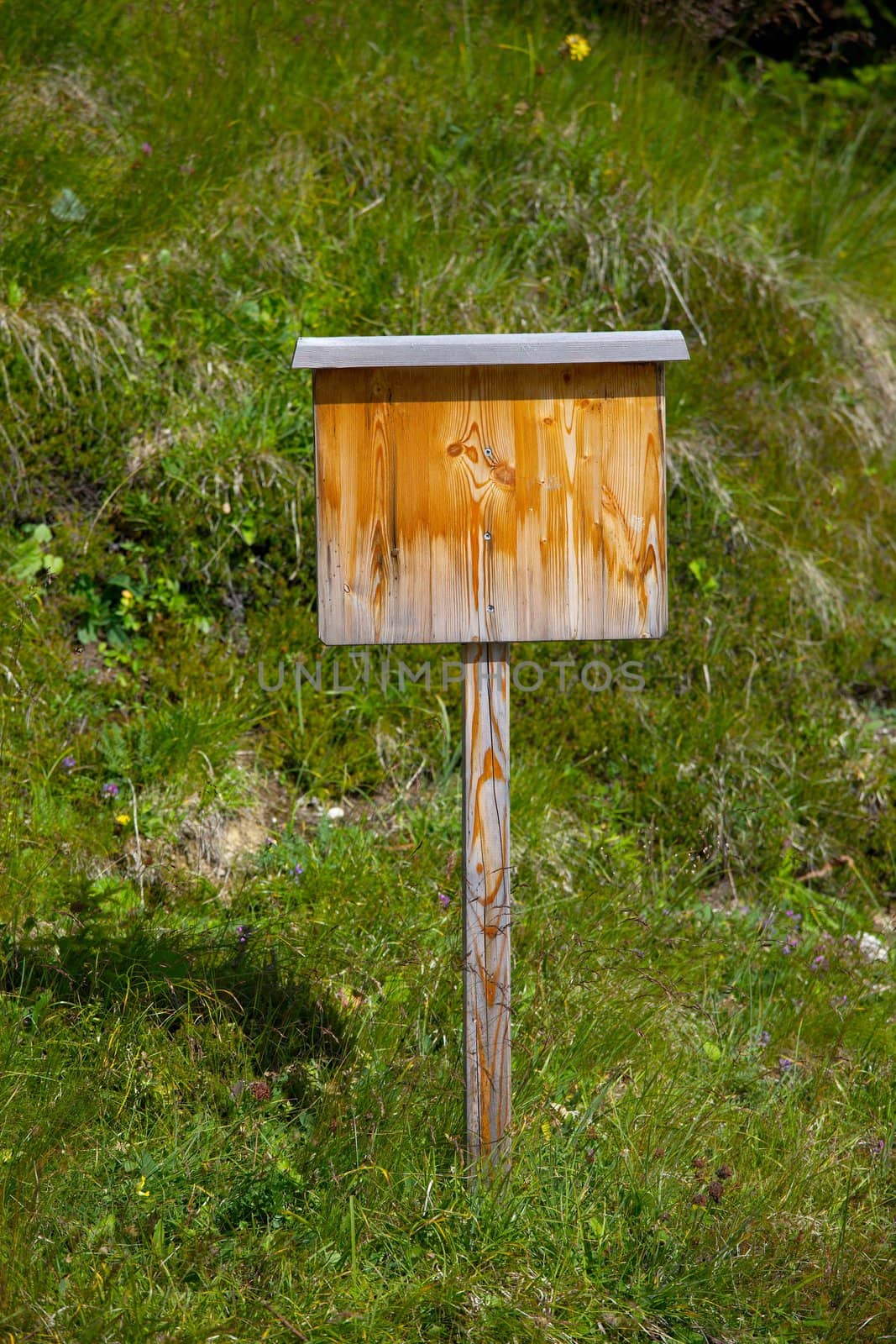 Empty, wooden signboard on an alpine meadow
