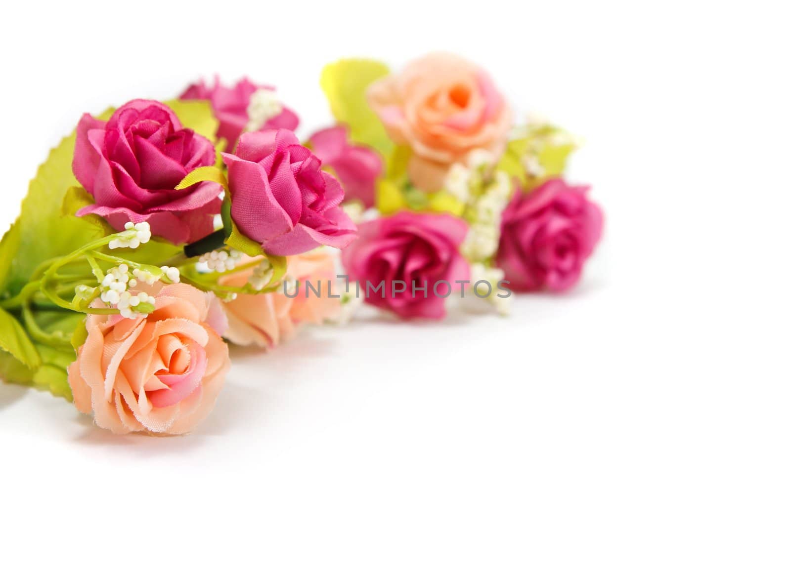 Flowers on white background