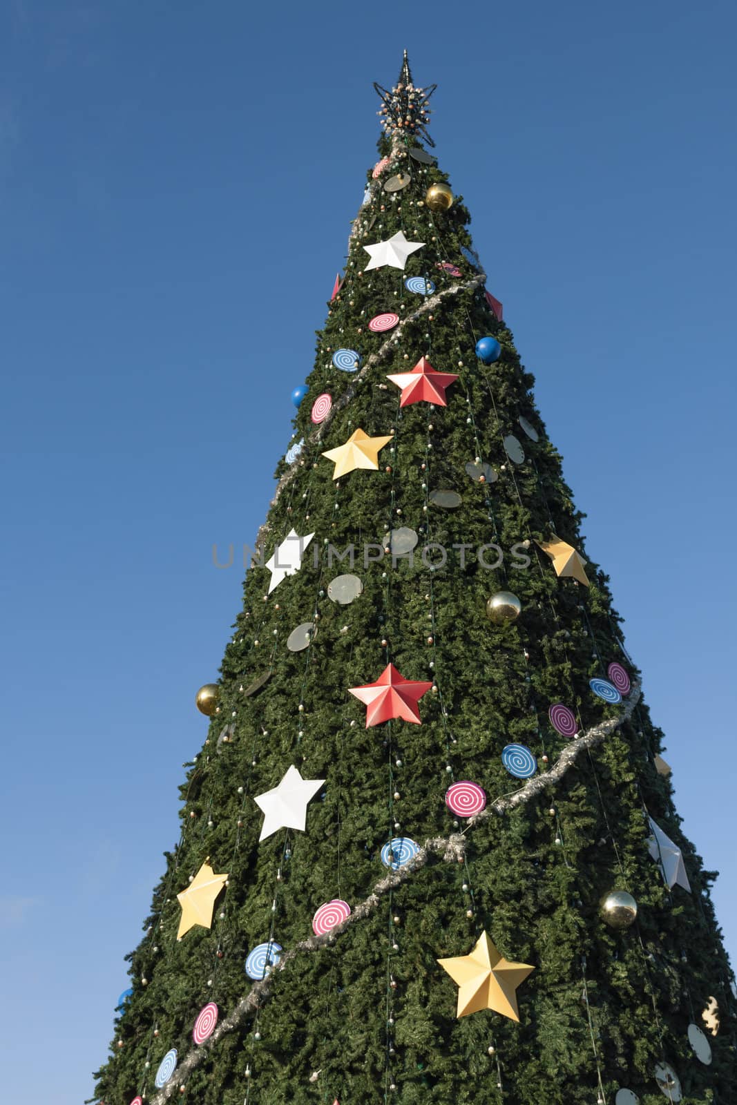 big Christmas tree with blue sky background