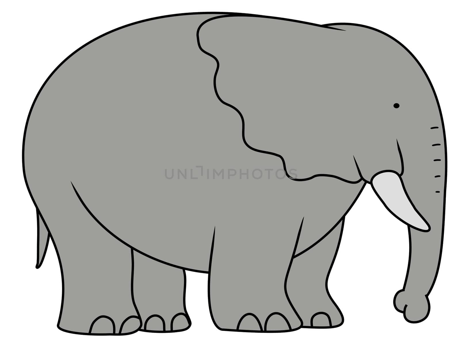 Illustration of a large Elephant