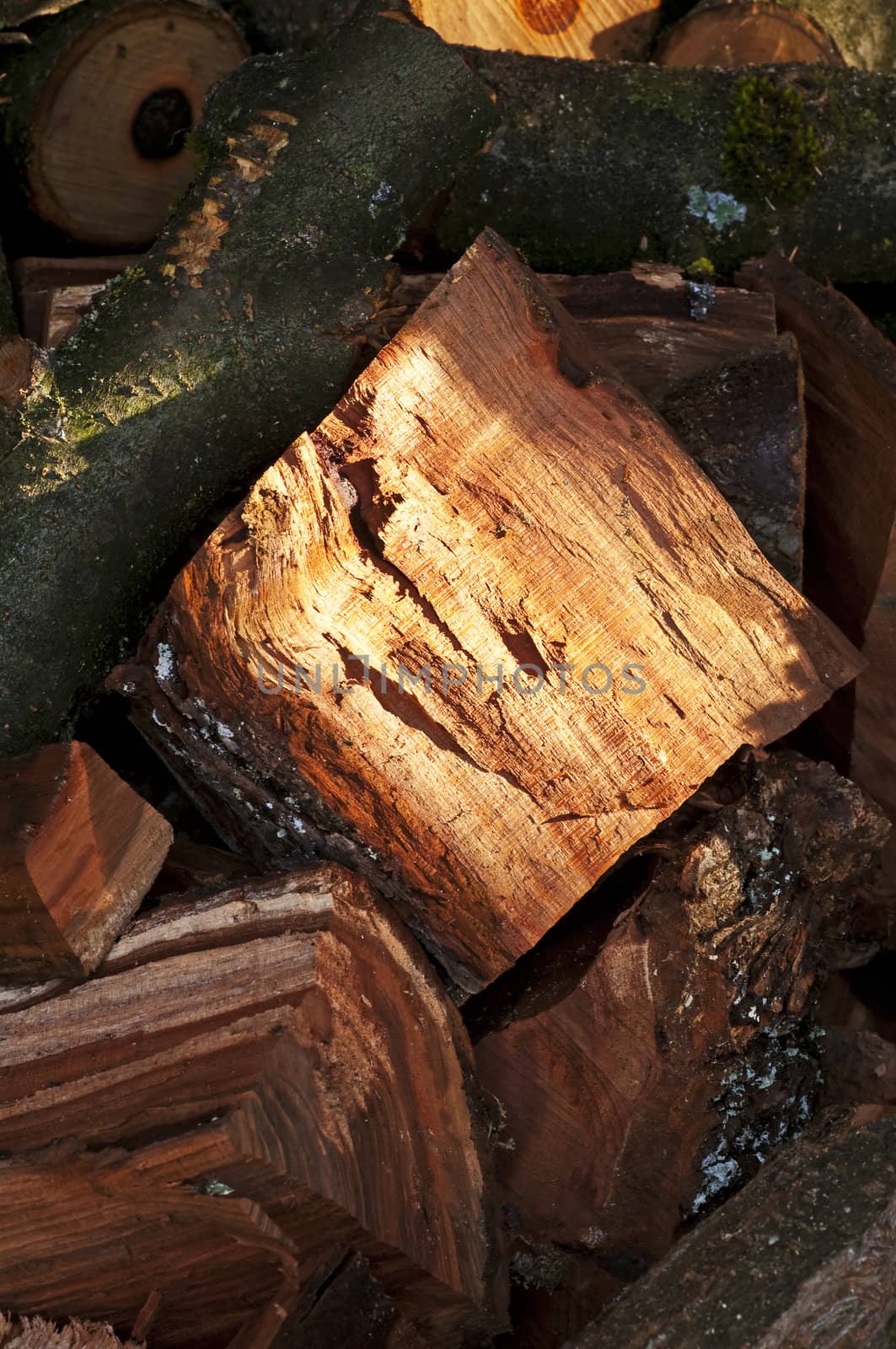 firewood by Jochen