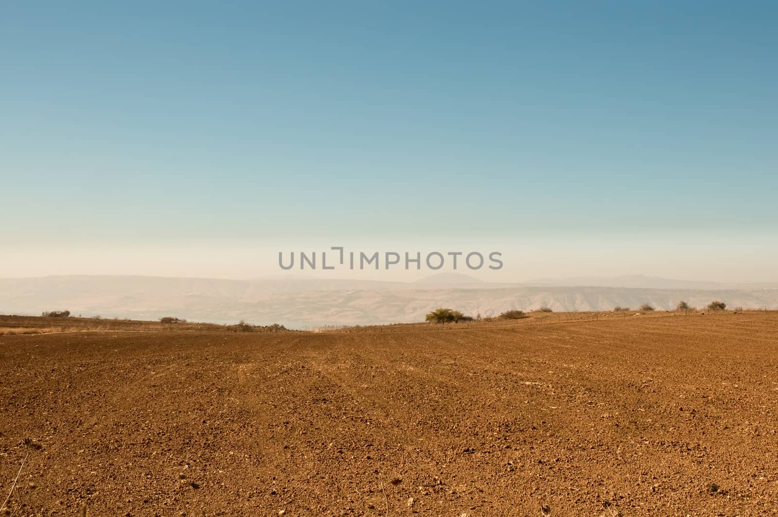 Agriculture fields . Landscape Of North Galilee In Early winter, Israel.