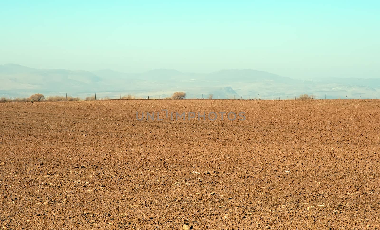 Agriculture fields . Landscape Of North Galilee In Early winter, Israel.