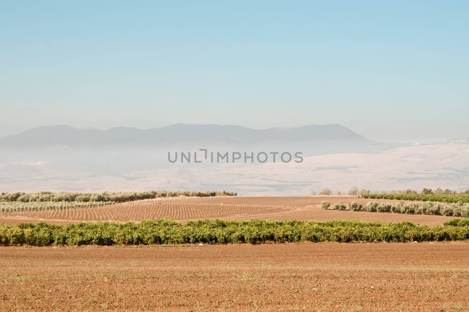 Agriculture fields . Landscape Of North Galilee In Early winter, Israel.