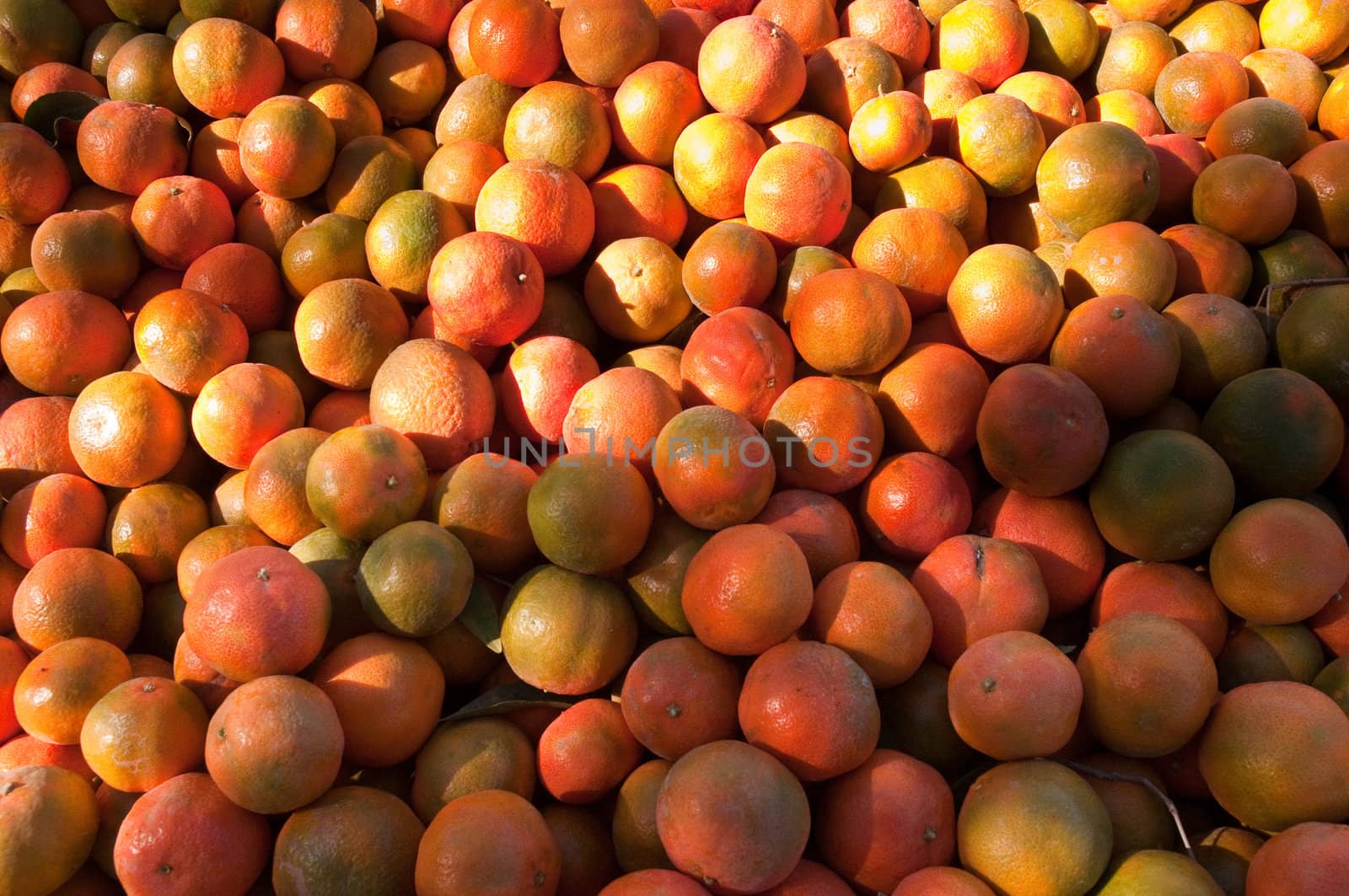 Background of orange tangerine fruits . Market.