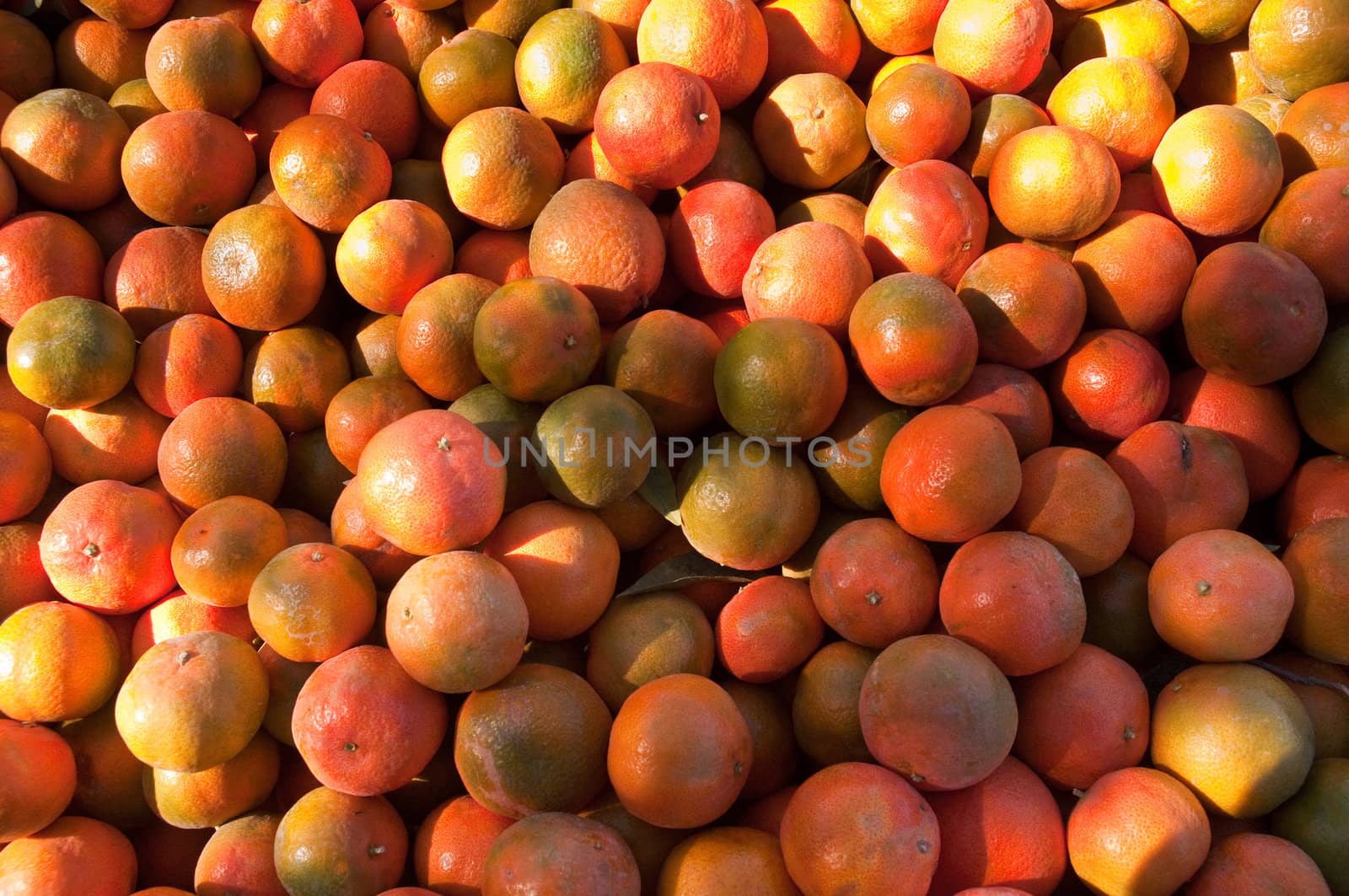 Background of orange tangerine fruits . Market.
