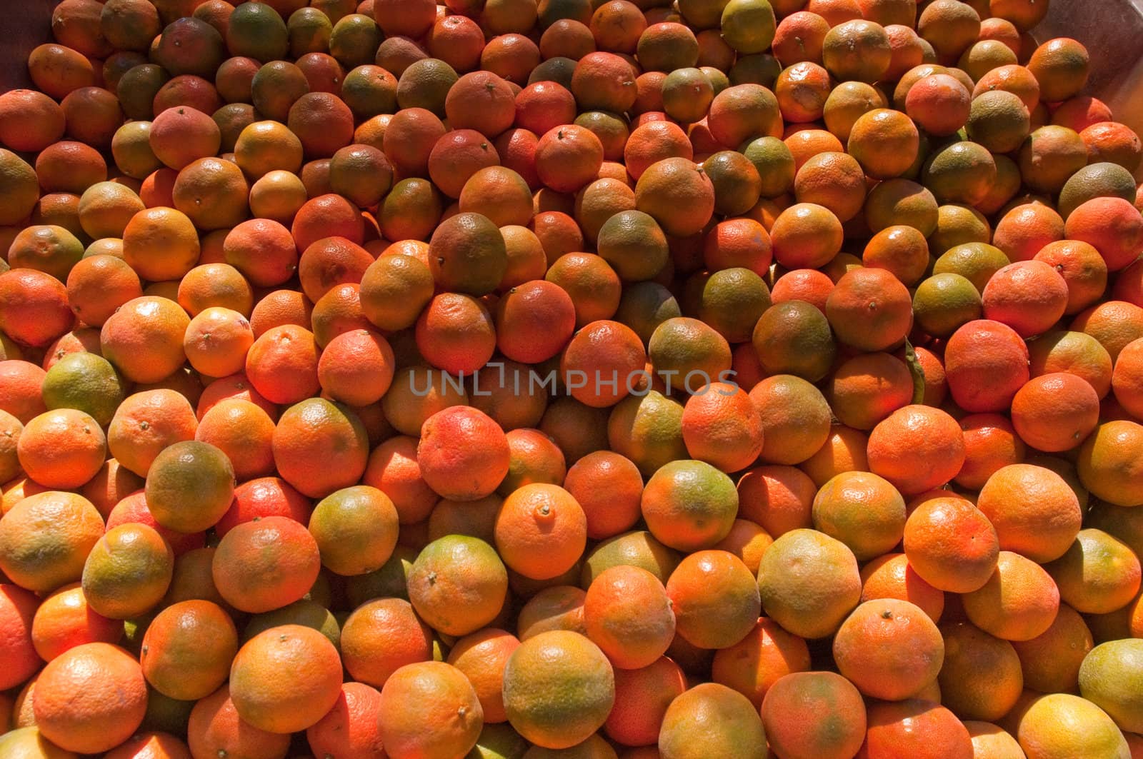 Background of orange tangerine fruits . Market.