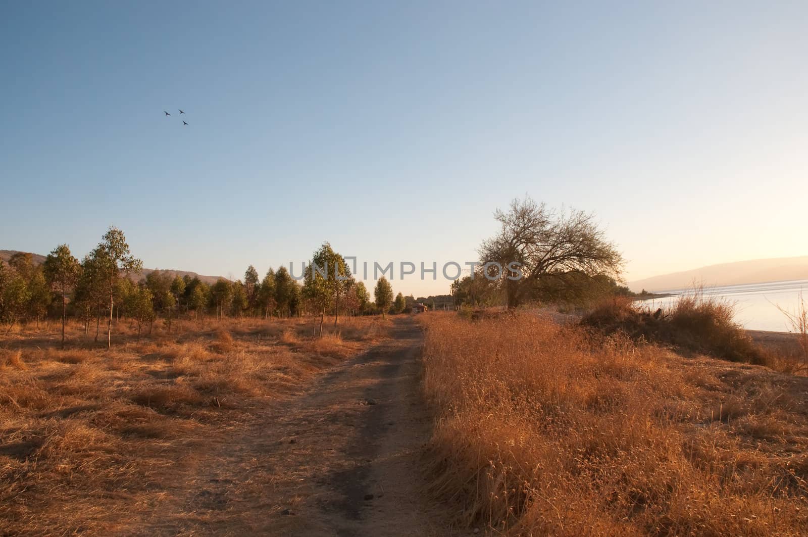 Sea of Galilee .Landscape Of North Galilee In Early winter, Israel.