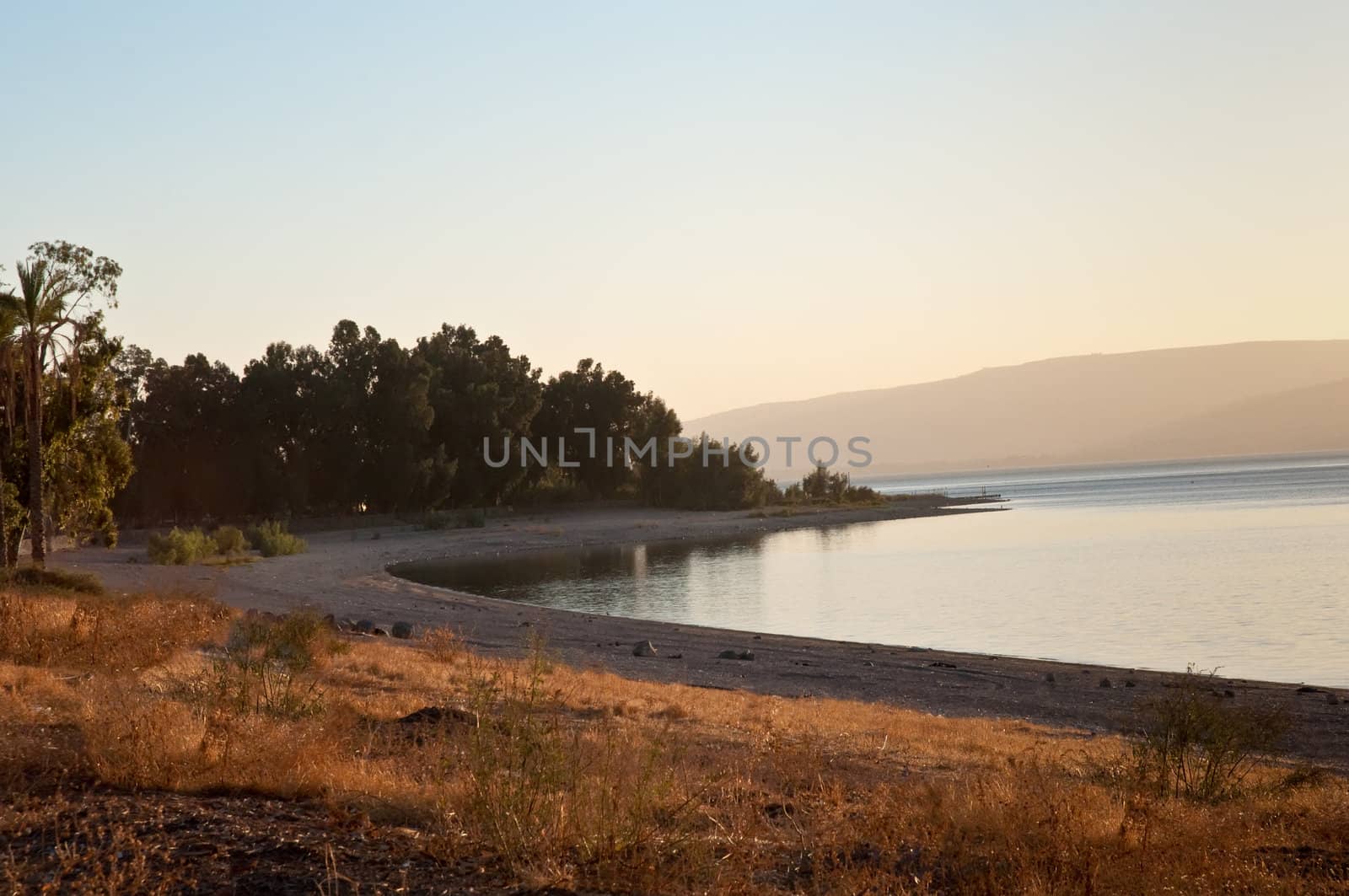 Galilee. North Israel . by LarisaP