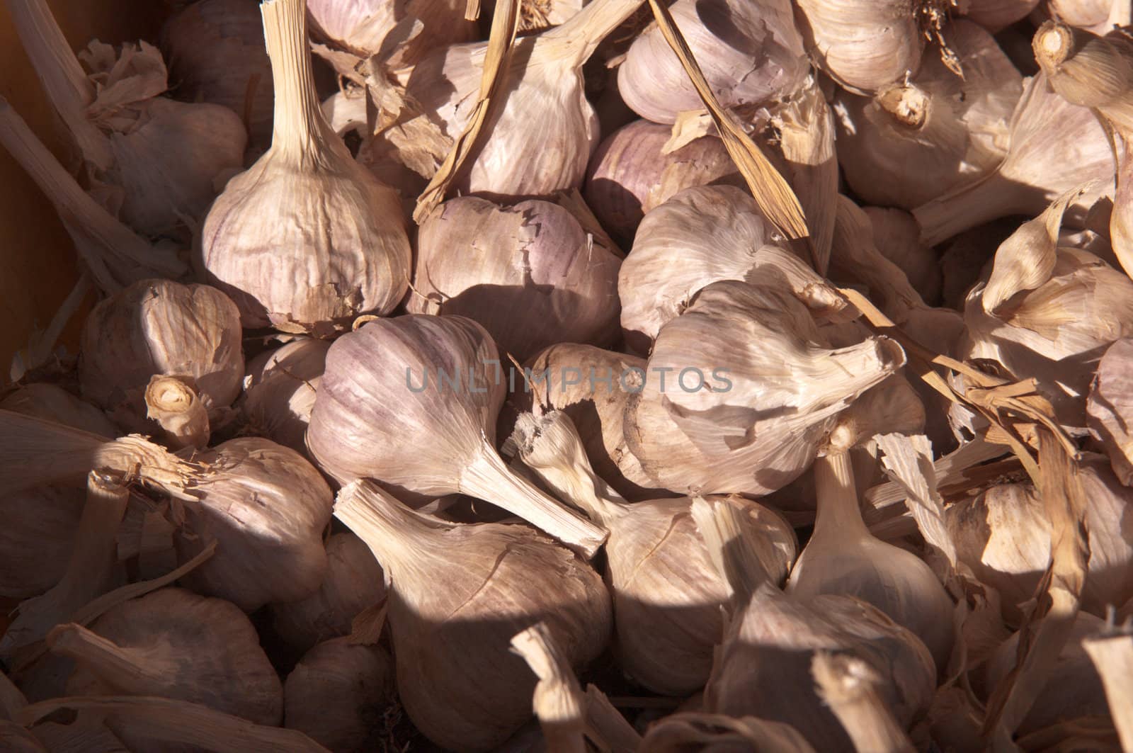 Stall of garlic at the market .