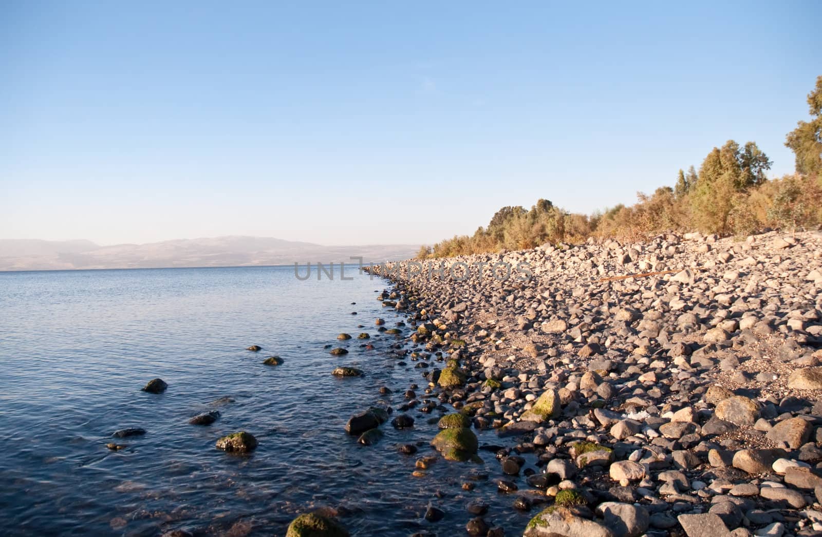 Sea of Galilee .Landscape Of North Galilee In Early winter, Israel.