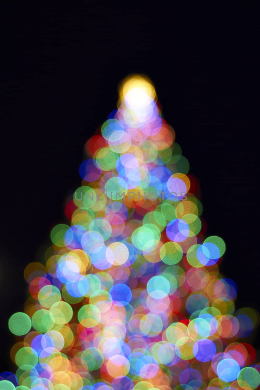Christmas Tree with Colorful Out of Focus Blurred Light on Black Background