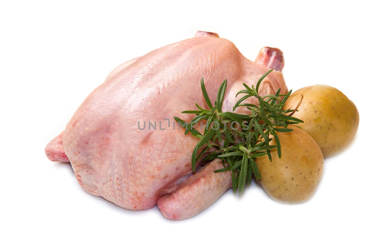 chicken with potatoes  isolated on white background