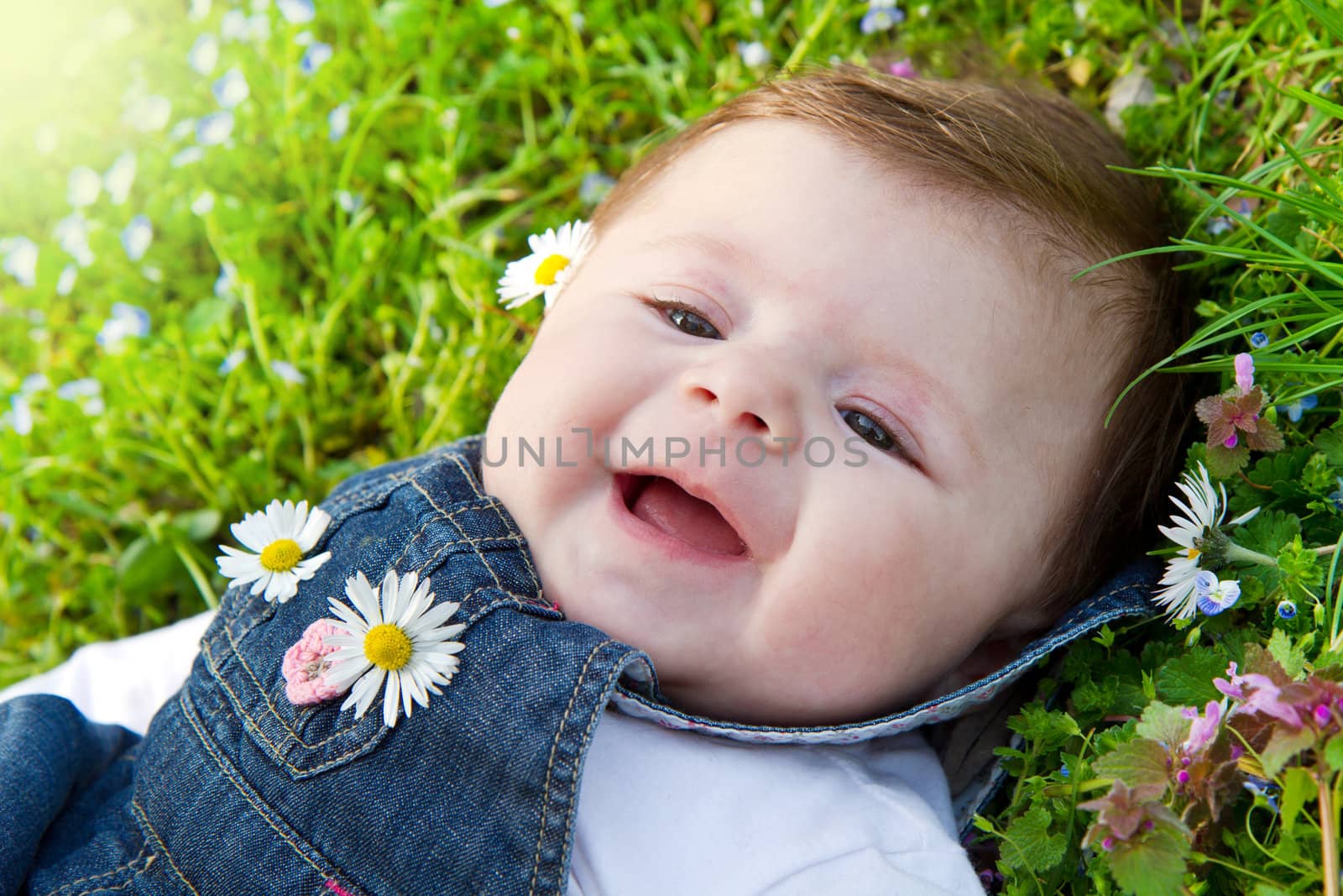 baby on green grass with daisy