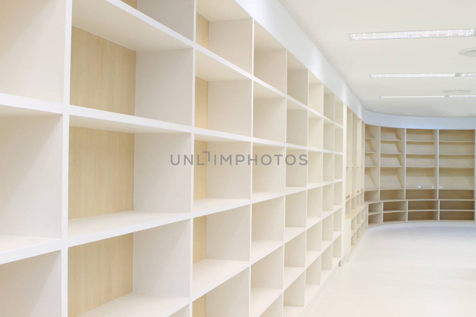 Blank wooden bookshelf