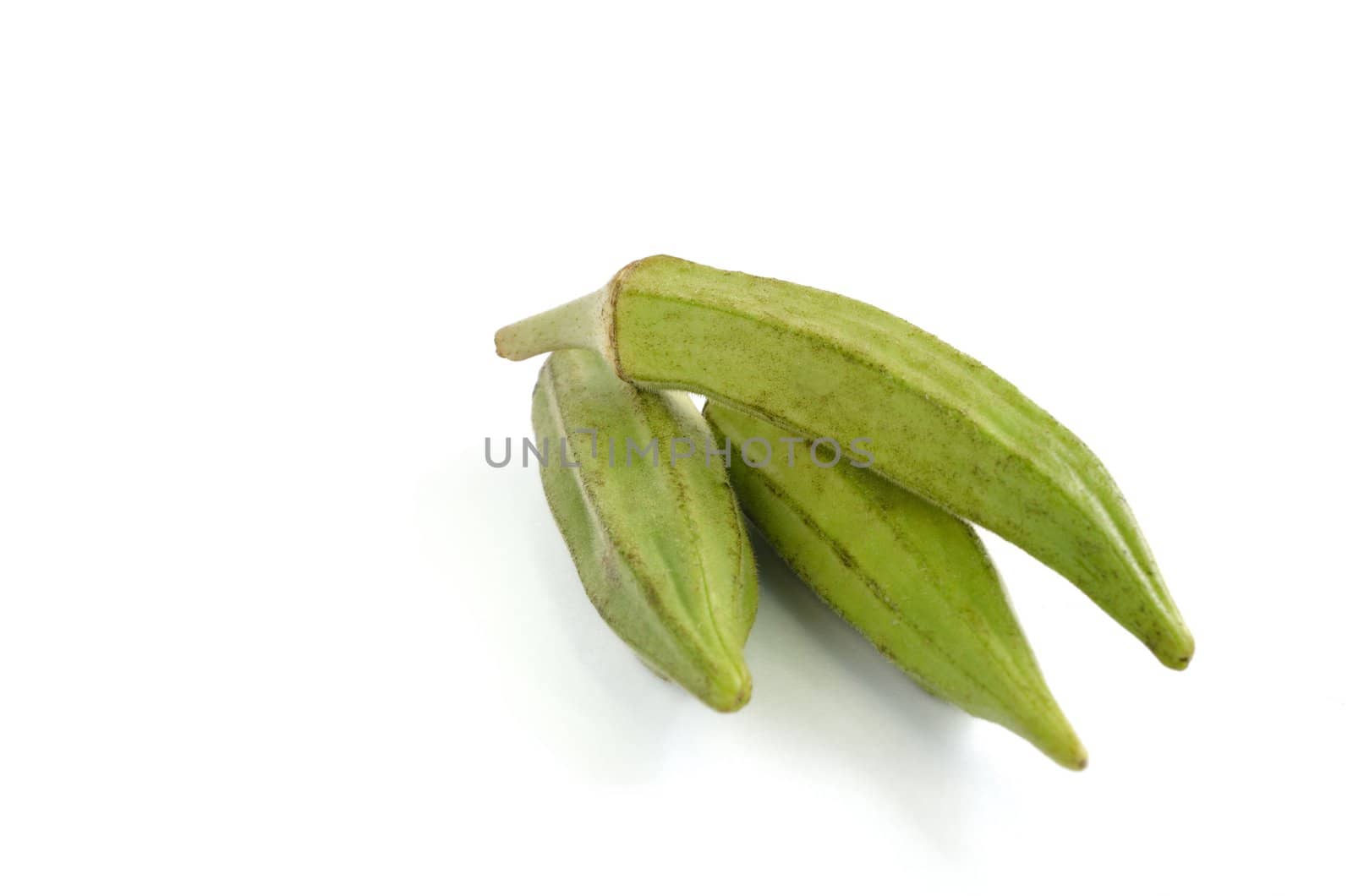 Okra isolated on a white background