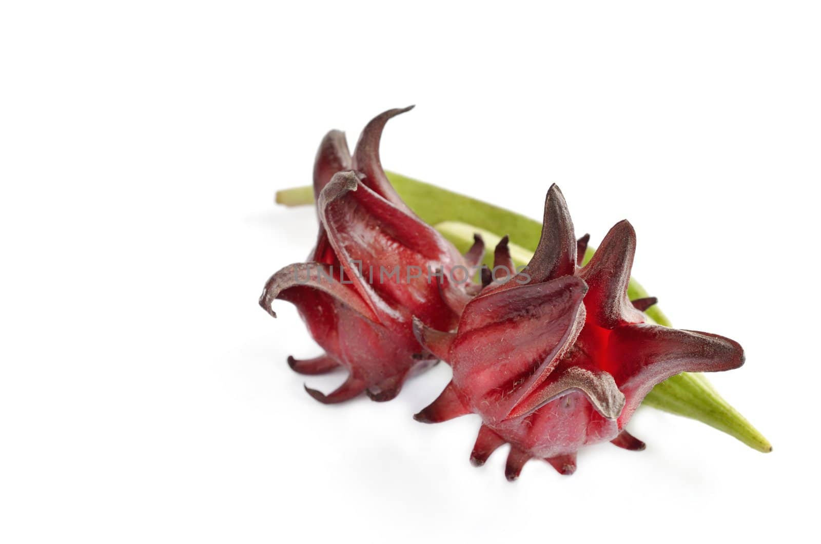 Roselle and Okra isolated on white background