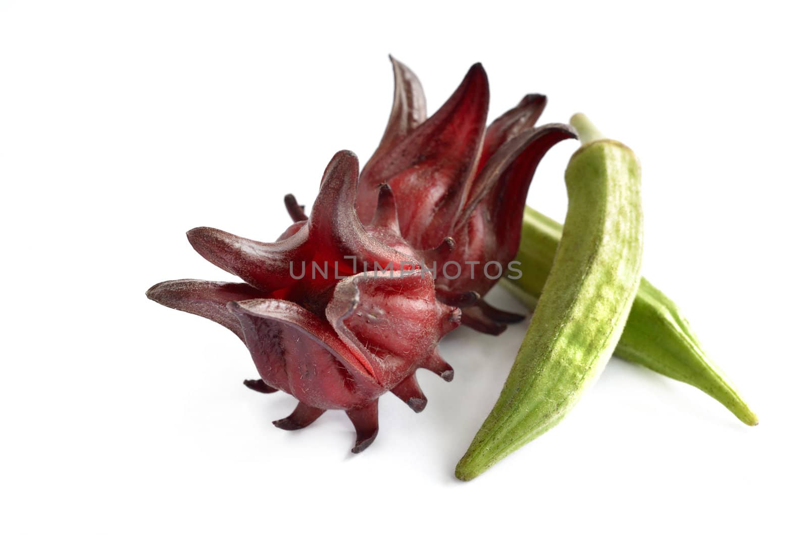 Roselle and Okra isolated on white background