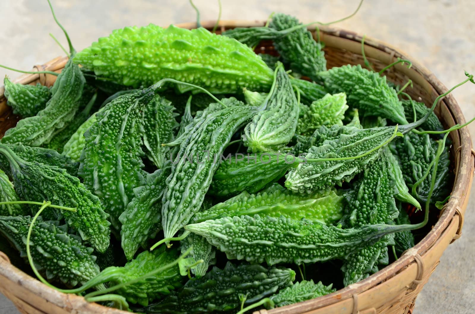 Bitter gourd in the basket.