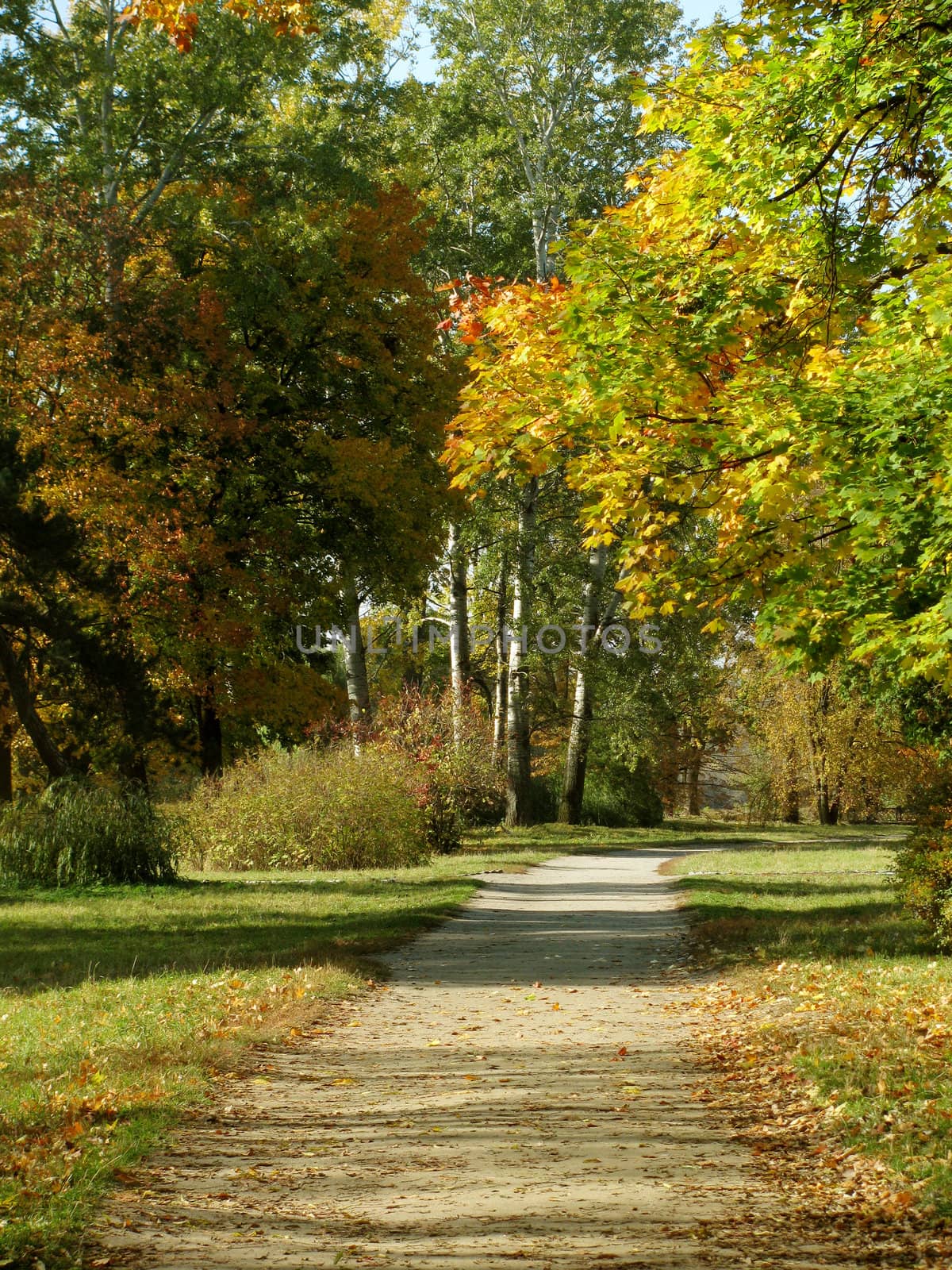 path in park by romantiche