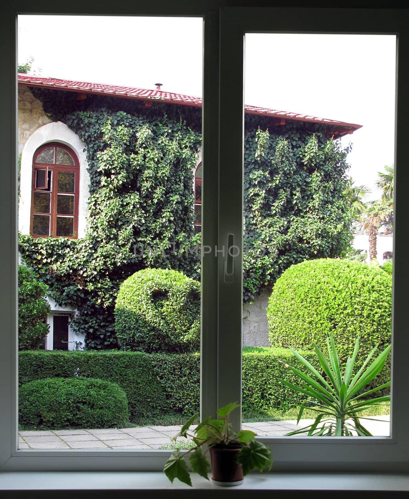 view on inner yard from window