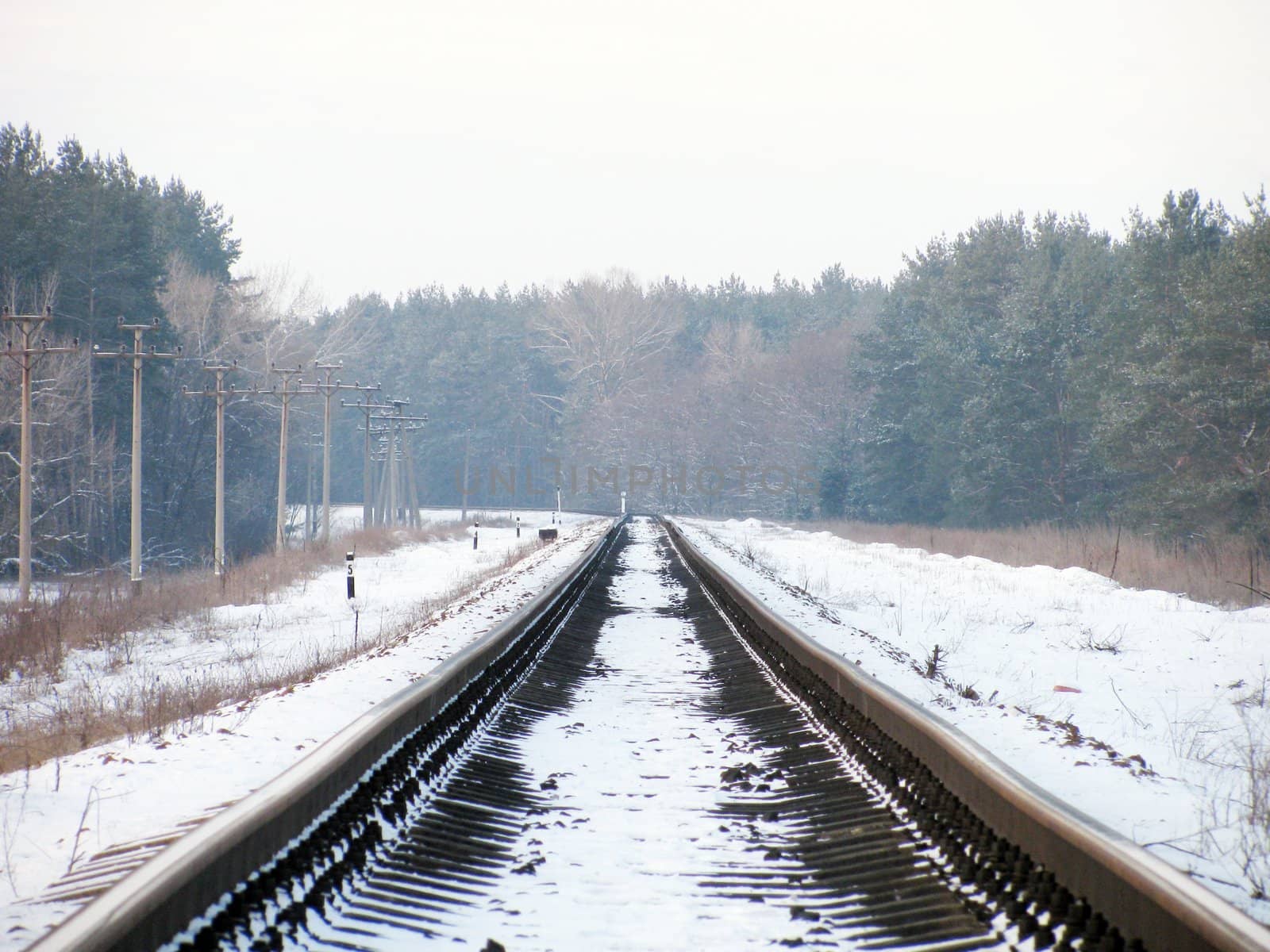 view on railway at winter