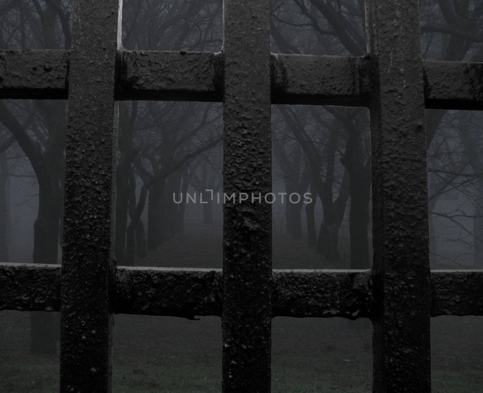 view on mystic garden through fence - jail