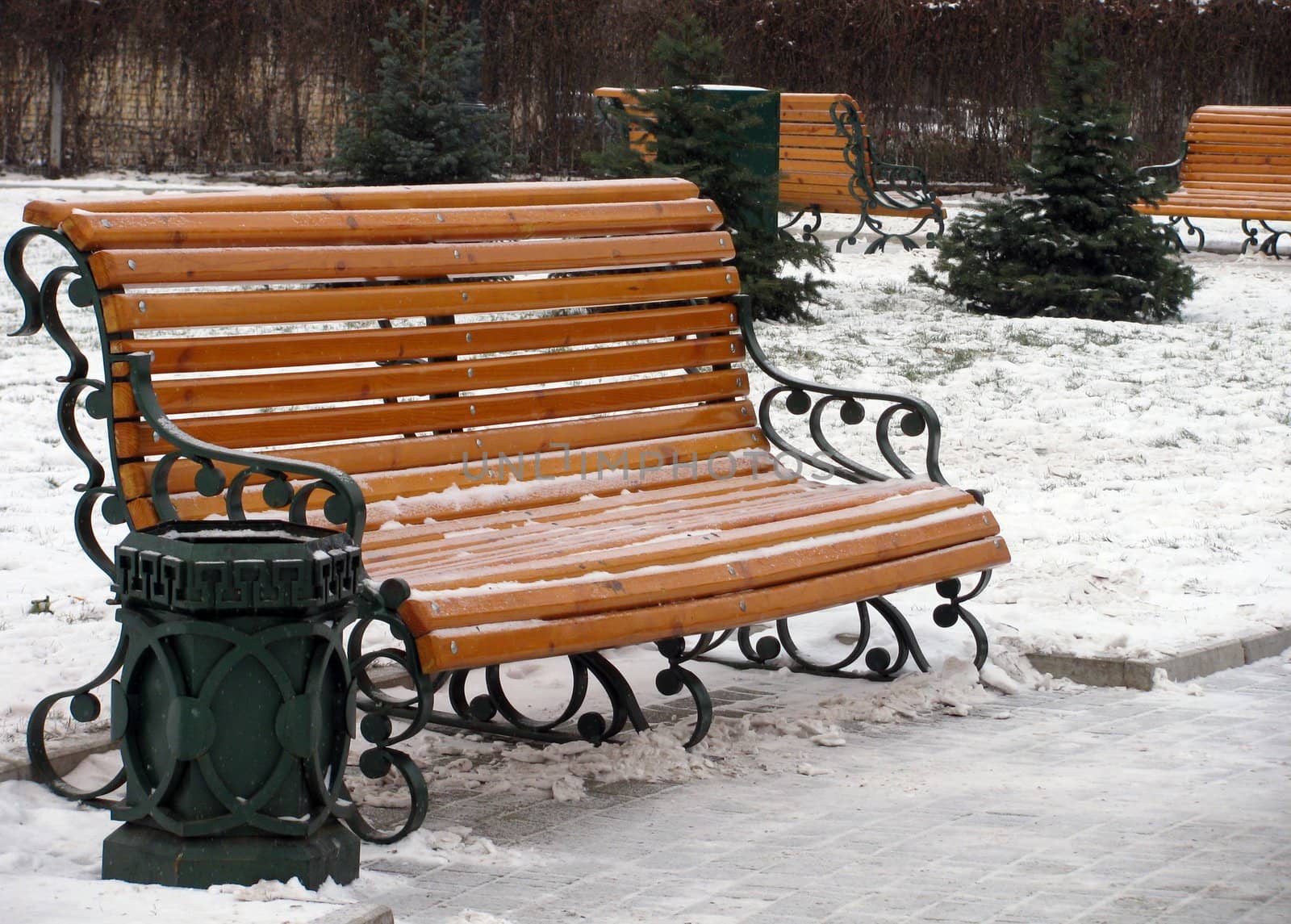 bench in park at winter