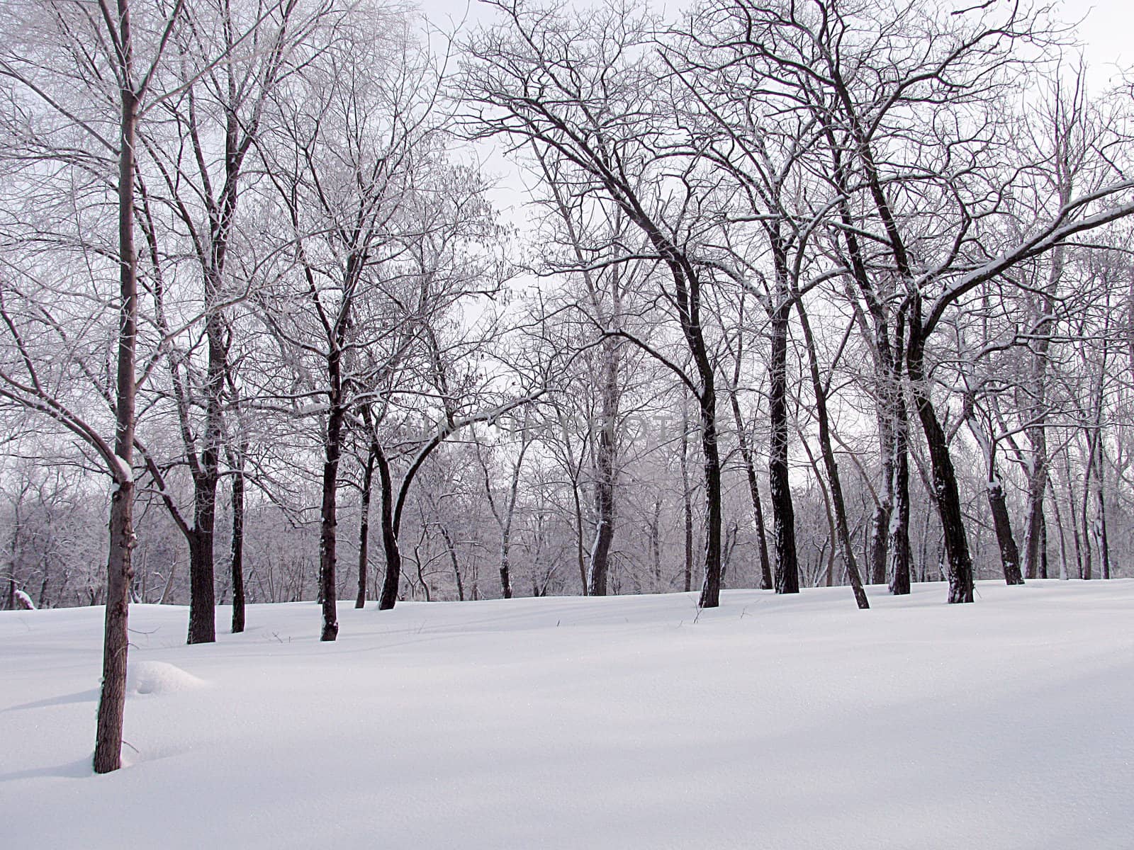 park at winter