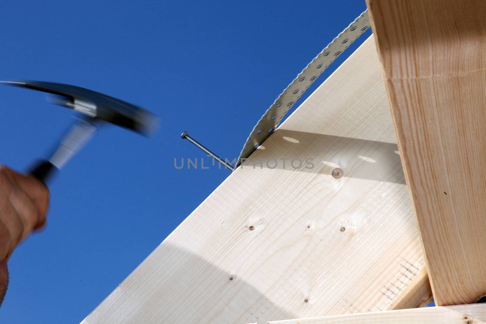 Hand and hammer of a carpenter at work, while hammering at a nail on a wooden beam