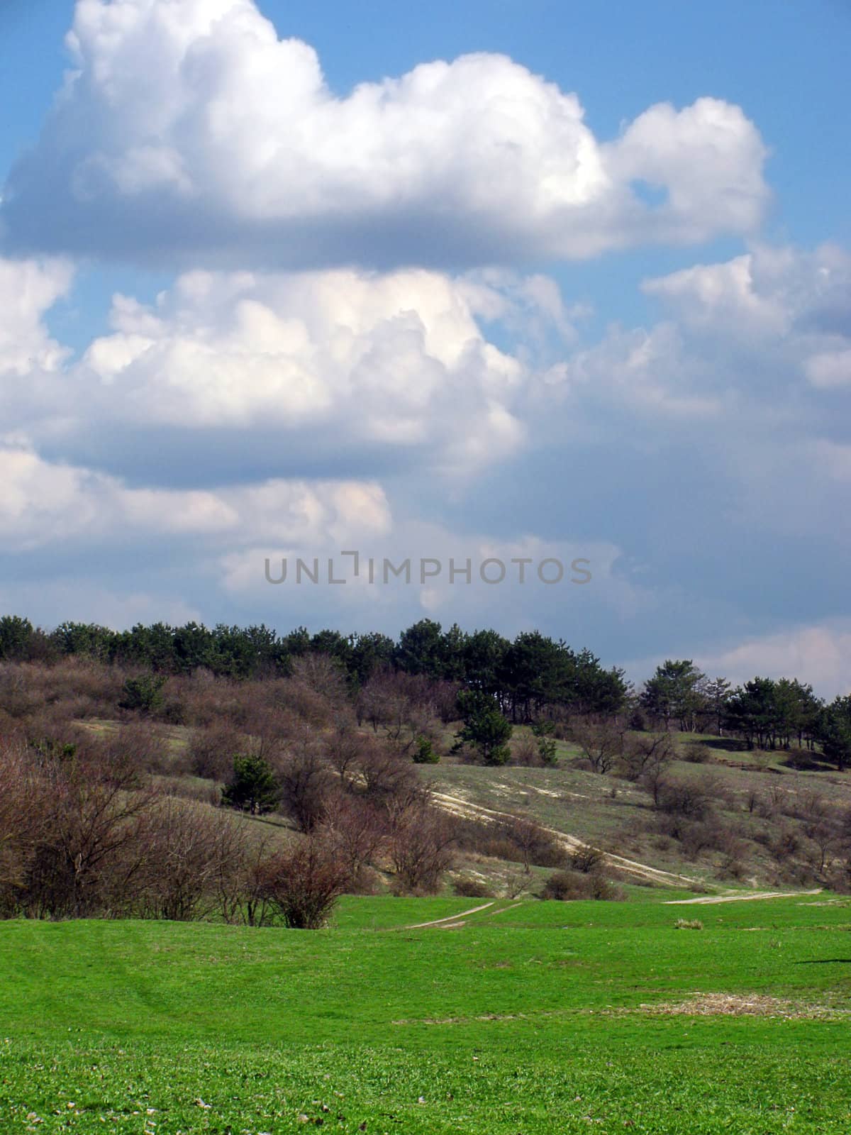 rural landscape