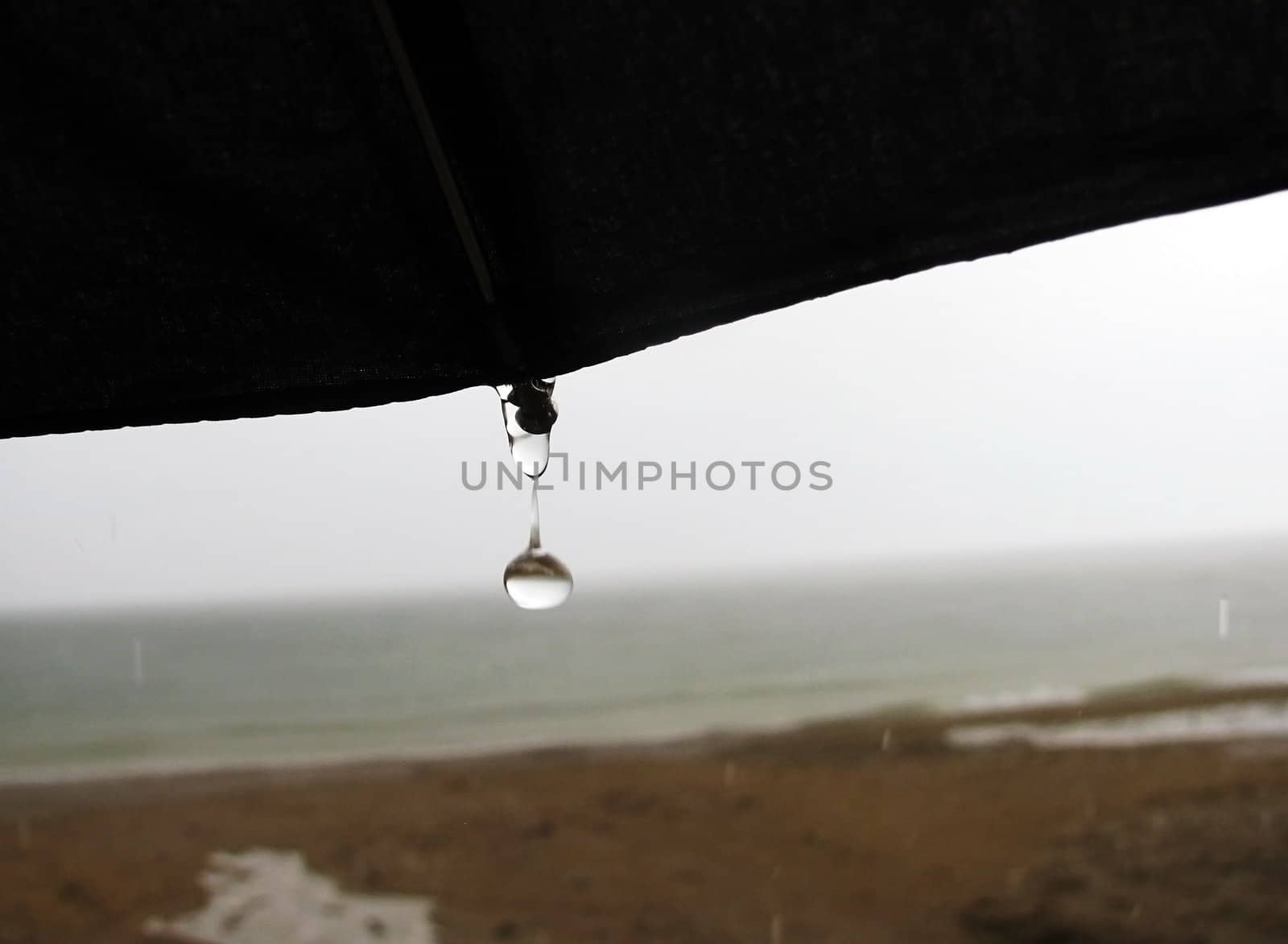 rain drop dripping from umbrella