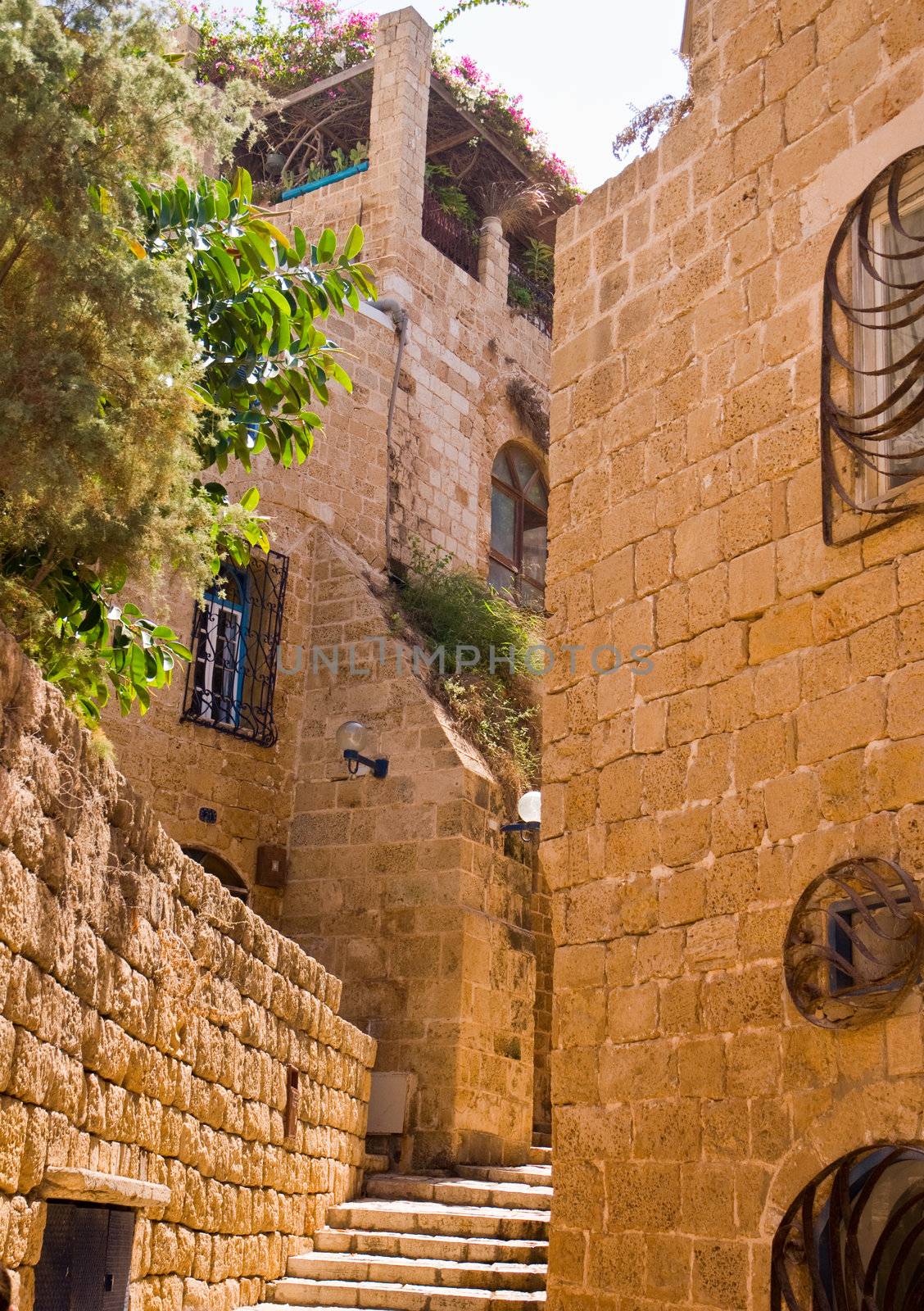 Jaffa ,an Alley in the old city, Jaffa is part of Tel Aviv city in Israel