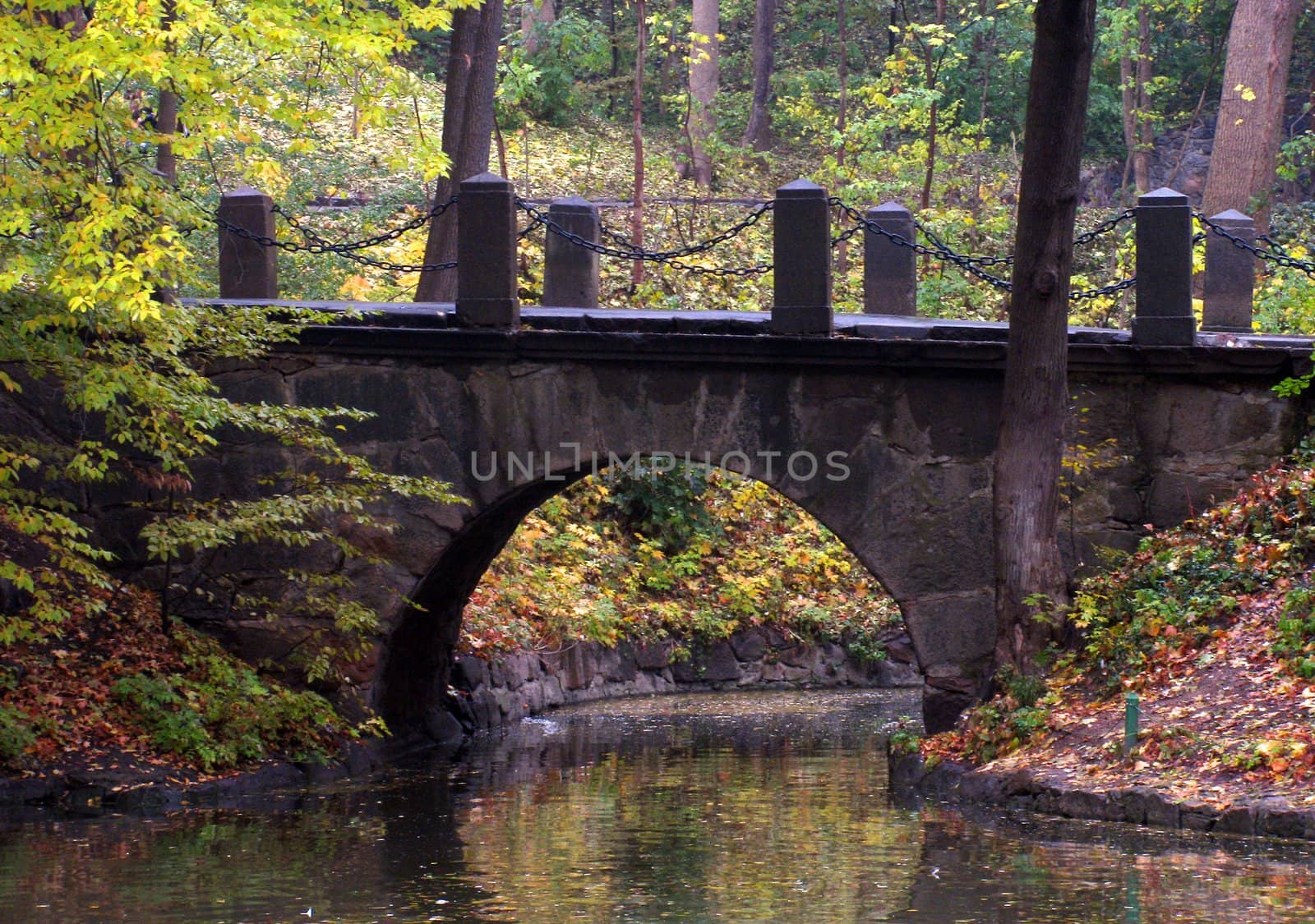 bridge in autumnal park