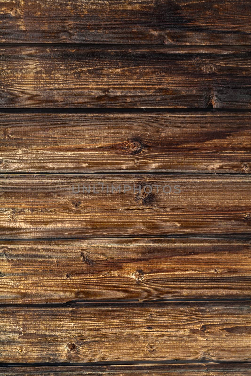 wood texture