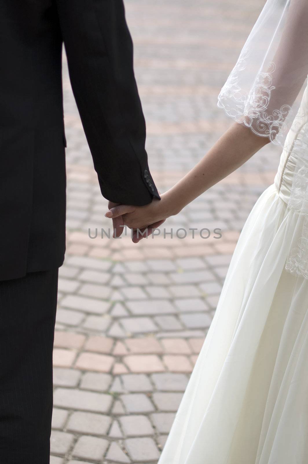 wedding theme, holding hands newlyweds 