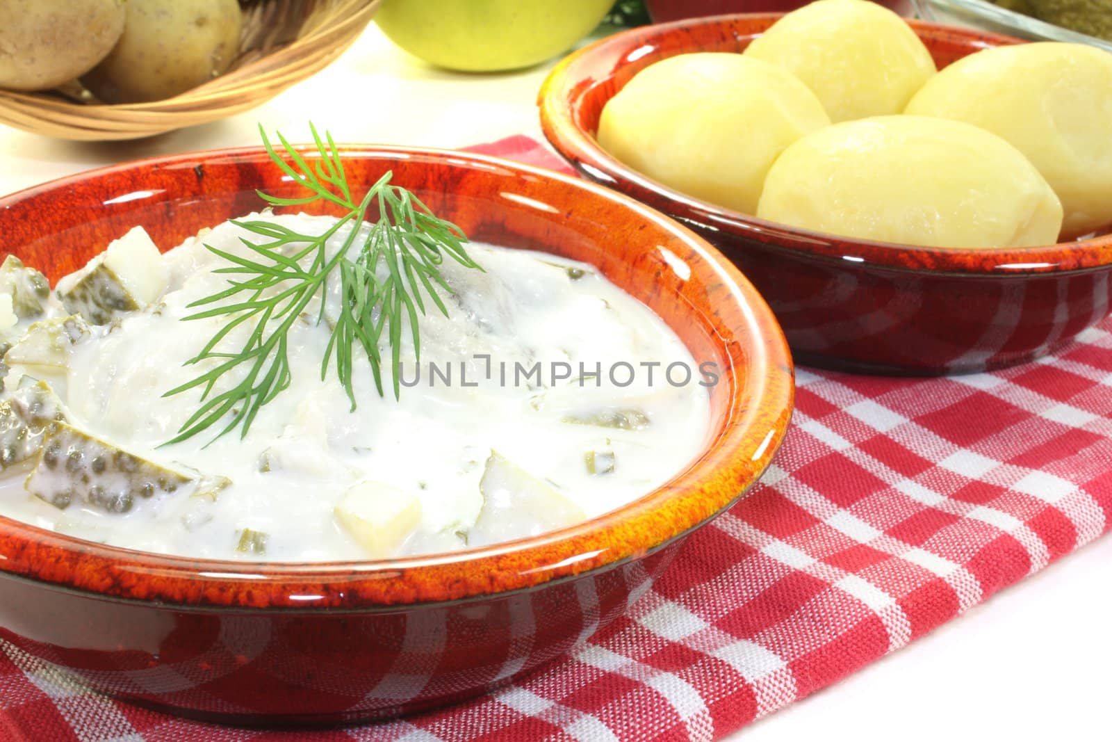 marinated Cream herring with cucumber by discovery